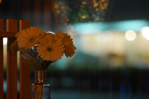 a vase filled with orange flowers sitting on a table at Finest Hour in Chishang