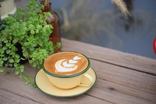 a cup of coffee on a table next to a plant at The Good Days in Udon Thani