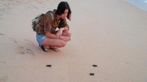a woman squatting on the beach looking at rocks in the sand at Mahi Villa in Bentota