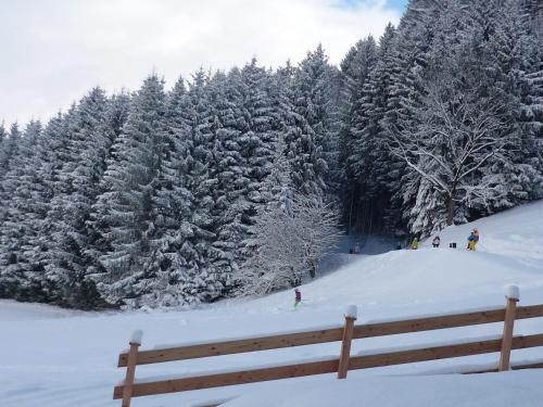 a group of people skiing down a snow covered slope at Penthouse Alpine Living direkt an der Skipiste by Schladmingurlaub in Haus im Ennstal
