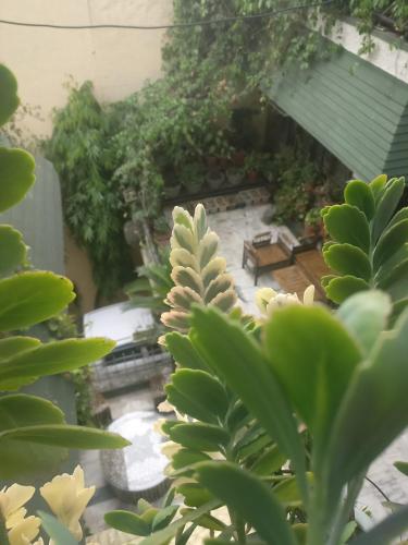 a view of a garden with a bench and a patio at Hotel Embassy in Dehradun