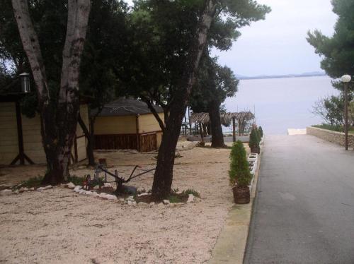 een strand met bomen en een huis aan het water bij Apartments Stanko in Petrcane