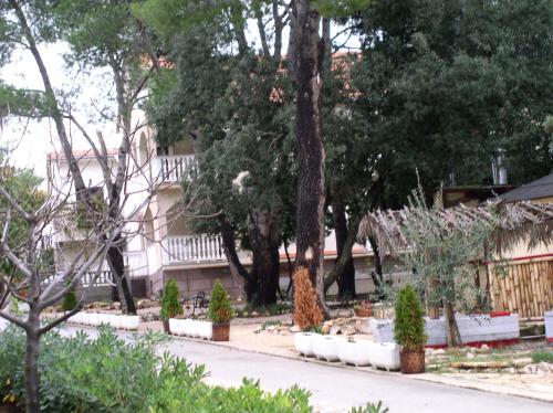 un patio con árboles y una casa al fondo en Apartments Stanko, en Petrčane