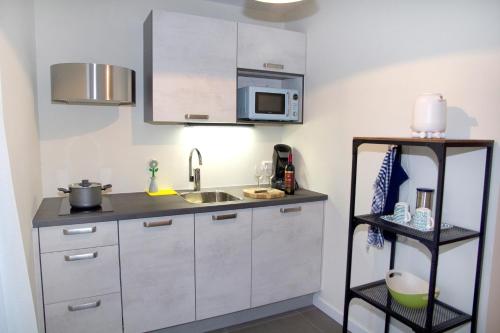 a small kitchen with a sink and a microwave at Studio-Vrij in Middelburg