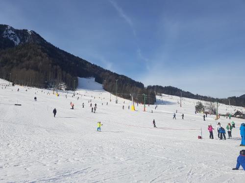 a group of people skiing down a snow covered slope at Apartma Lenka Kranjska Gora in Kranjska Gora