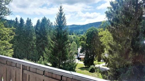 a view of a forest of trees from a house at Penzion Sumavacek in Bayerisch Eisenstein
