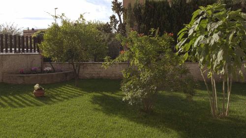 Il Giardino dell'Eden – Photos 2
