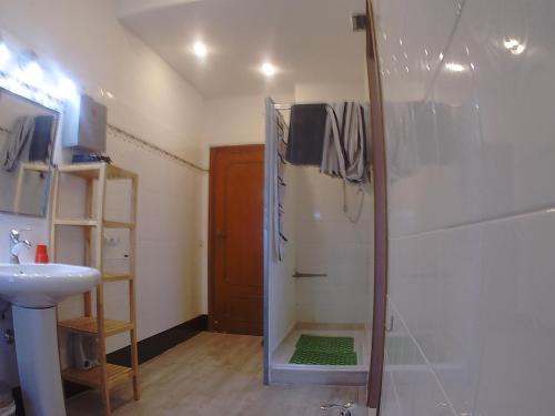 a bathroom with a shower and a sink at B&B L'Assiolo in Ancona