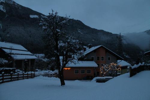 Ferienwohnung CHRISTIANE im Winter