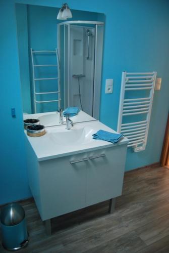 une salle de bain avec un lavabo blanc et un miroir dans l'établissement Gîte La Ferranderie, à Saint-Hilaire-de-Gondilly