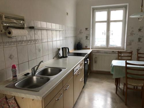 eine Küche mit einer Spüle und einer Arbeitsplatte in der Unterkunft Ferienwohnungen in Dresden in Dresden