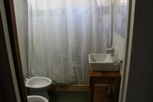 a bathroom with a sink and a toilet and a shower curtain at Montaña Negra in Aluminé