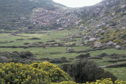 Φυσικό τοπίο κοντά σε αυτή η παραθεριστική κατοικία