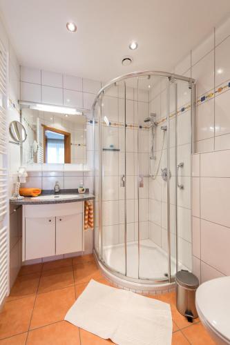 a bathroom with a shower and a sink at Pension Elisabeth in Russbach am Pass Gschütt