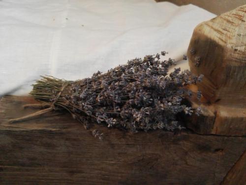 a bunch of bees on a wooden table at Casa Glod in Glod