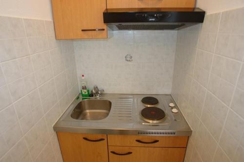 Kuchyň nebo kuchyňský kout v ubytování Apartments Leontina