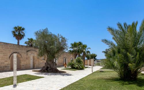 a tree in the middle of a courtyard with palm trees at Masseria Tenuta Quintino in Torre Lapillo