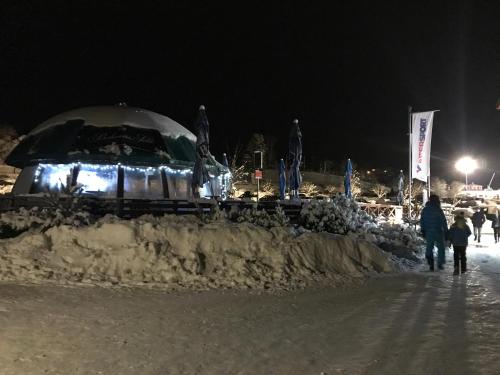 a group of people walking in the snow at night at Apartmány Pinie Lipno in Lipno nad Vltavou