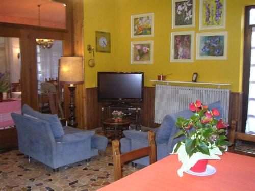 TV a/nebo společenská místnost v ubytování Albergo San Cristoforo