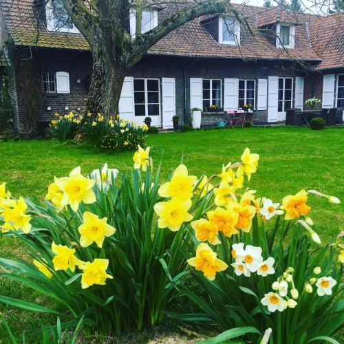 Le Clos de Bénédicte – Photos 5