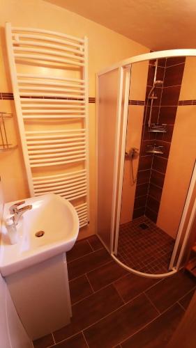 a bathroom with a shower and a sink and a shower at Appartement Jana in Flattach