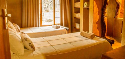 a bedroom with two beds and a window at LittleBush Private Lodge in Hoedspruit