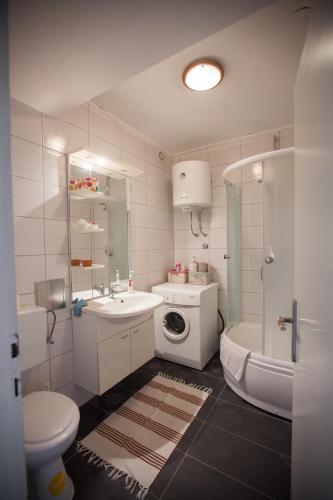 y baño con lavamanos y lavadora. en RiverView apartment, en Osijek