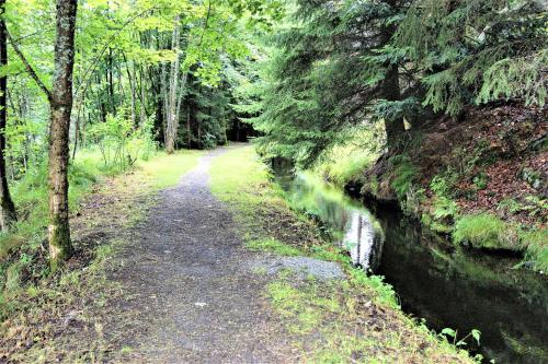a path in the woods next to a river at Penzion Sumavacek in Bayerisch Eisenstein