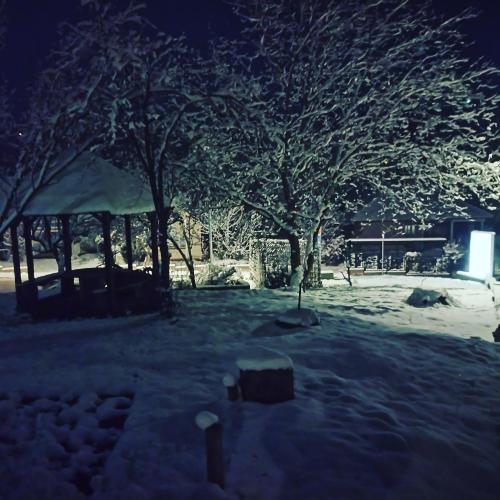 Apartmani Janković en invierno