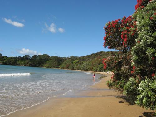 a person walking on a beach with red flowers at By the Bay Beachfront Apartments in Mangonui