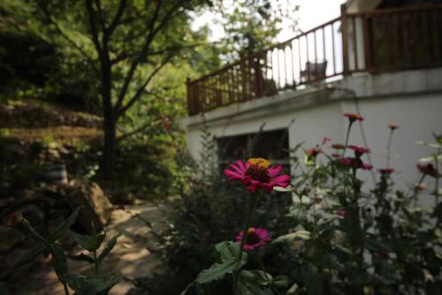 Un jardín fuera de Zhangjiajie One city one inn