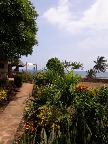 a garden with plants and a walkway at Mango Lodge MSAMBWENI in Kisimachande