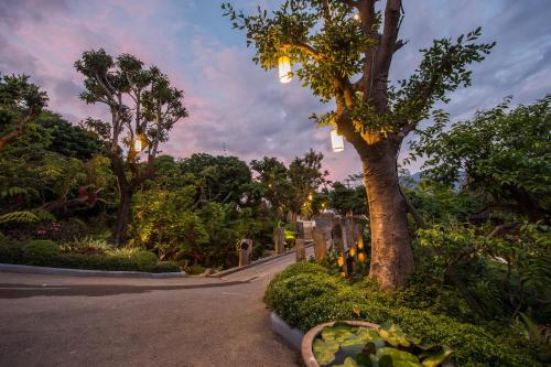 Landskap semula jadi dekat dengan resort
