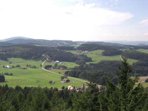 a view of a green valley with trees and houses at Ferienwohnung Familie Resch in Wegscheid