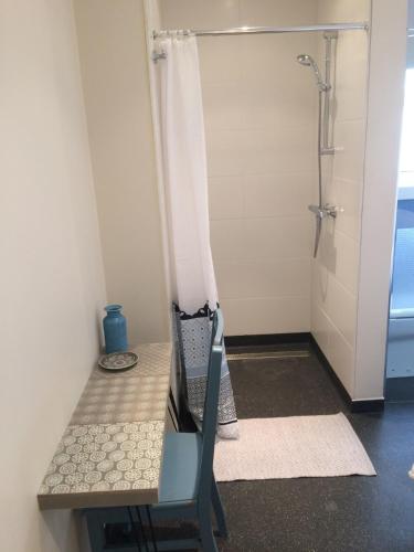 a bathroom with a shower with a bench and a shower curtain at Vrije Vlinders in IJzendijke