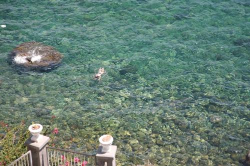 a couple of people swimming in the water at Casa Vitale in Aci Castello