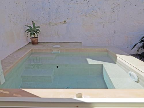 a bath tub with a potted plant sitting in it at Blue Casita ETV 7845 in Pollença