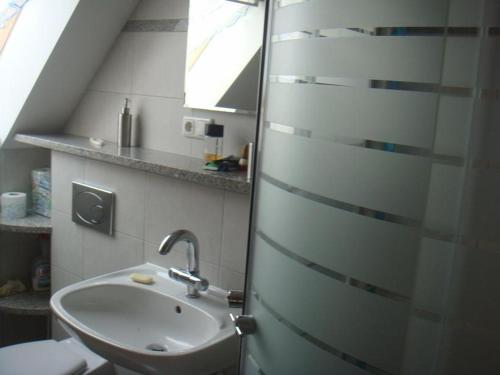 a bathroom with a sink and a toilet at Agroturystyka Düsselkamp Tumiany in Barczewo