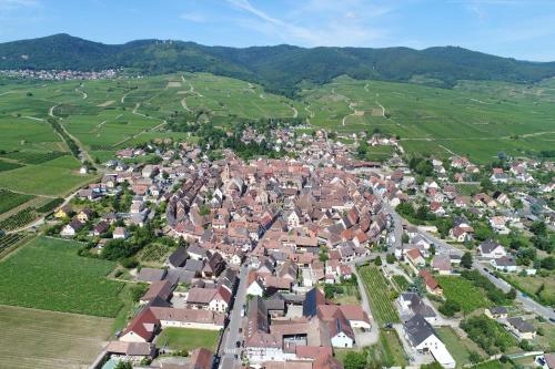 an aerial view of a small town in a field at Gîtes Au Château Fleuri in Eguisheim