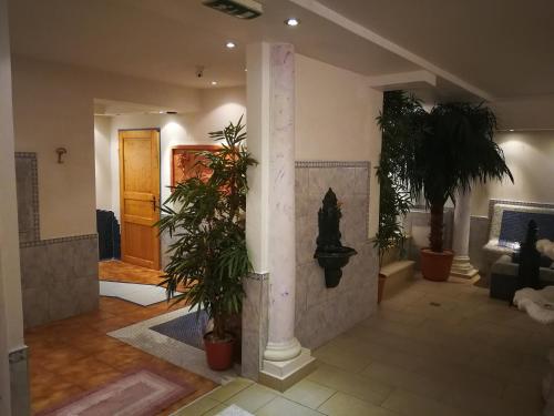 uma sala de estar com vasos de plantas e um pilar em Hotel Kärntnerhof & SeeBlick Suiten em Presseggersee