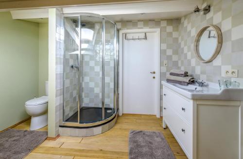 ein Bad mit einer Dusche, einem Waschbecken und einem WC in der Unterkunft Le Saint Urbain in Nollevaux