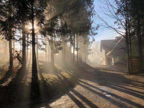a foggy street with trees and a house at Pomona Relaxing Nature Guest House in Rogaška Slatina