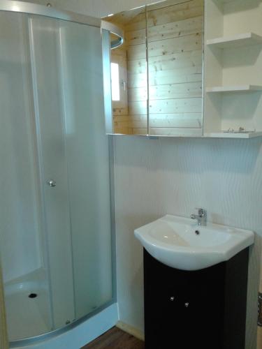 a bathroom with a sink and a shower at Abigabis in Ustronie Morskie