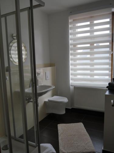 a bathroom with a sink and a toilet and a window at Pension La rose in Brandenburg an der Havel