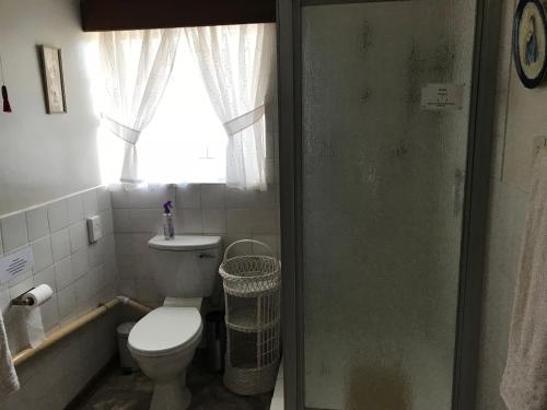 a bathroom with a toilet and a sink and a window at Rosewood Corner, Clarens in Clarens
