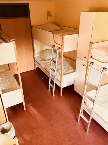 a room with two bunk beds and a ladder at Ostel Jugendhotel Bremervörde in Bremervörde