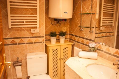 シエラネバダにあるIMEDA apartamento ATLAS Sierra Nevadaのバスルーム(トイレ、洗面台付)
