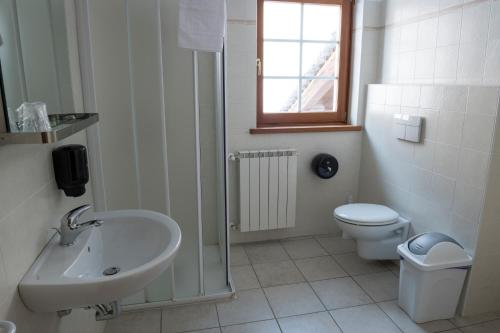 uma casa de banho com um lavatório, um WC e uma janela. em Aalts Dorf em Riale