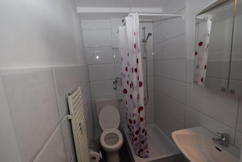 a bathroom with a toilet and a shower curtain with hearts at Apartment Gablenberg in Stuttgart