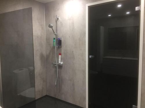 um chuveiro numa casa de banho com uma porta de vidro em Aurora Apartment Inari em Inari